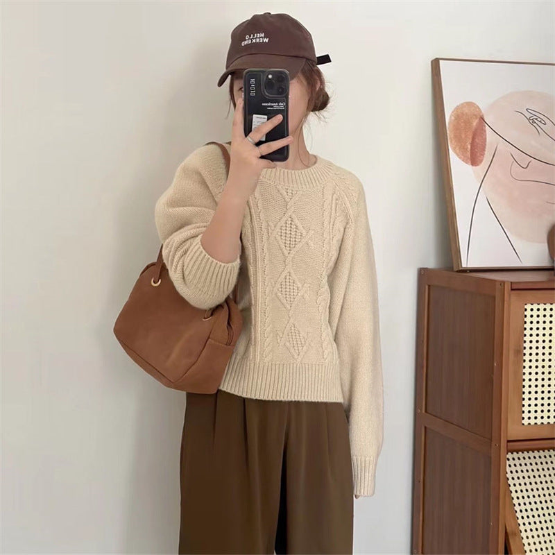Warm And Loose Knit Top For Women