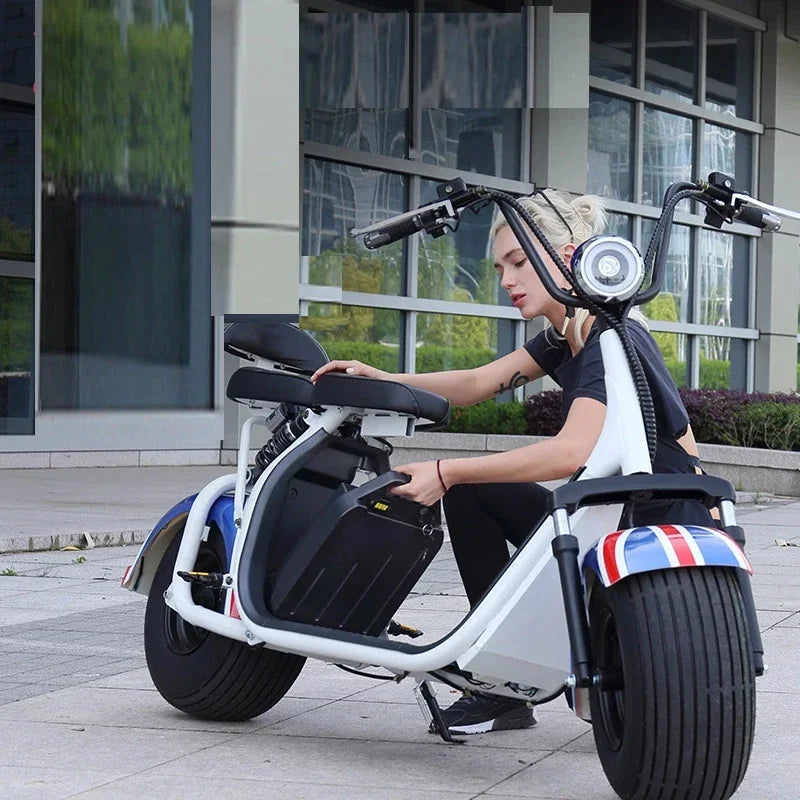 60V 20Ah 15Ah 10Ah  Battery Pack of Harley electric scooter for 350W-2000W Electric Scooter duty free