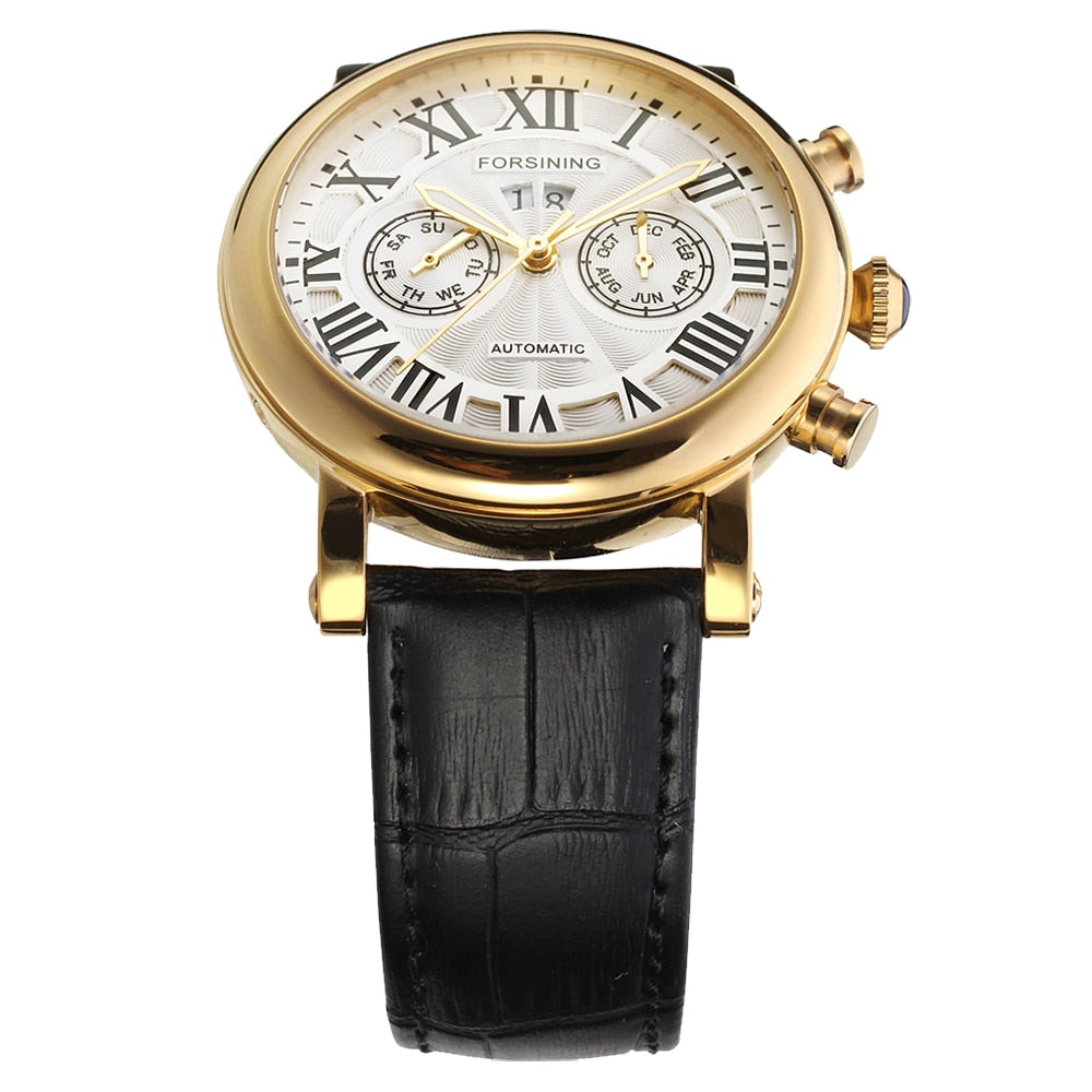 Luxury Design Men's Mechanic Watches Leather Strap Butterfly Clasp Male Clock Auto Date Day Month Calendar Wristwatches for Man