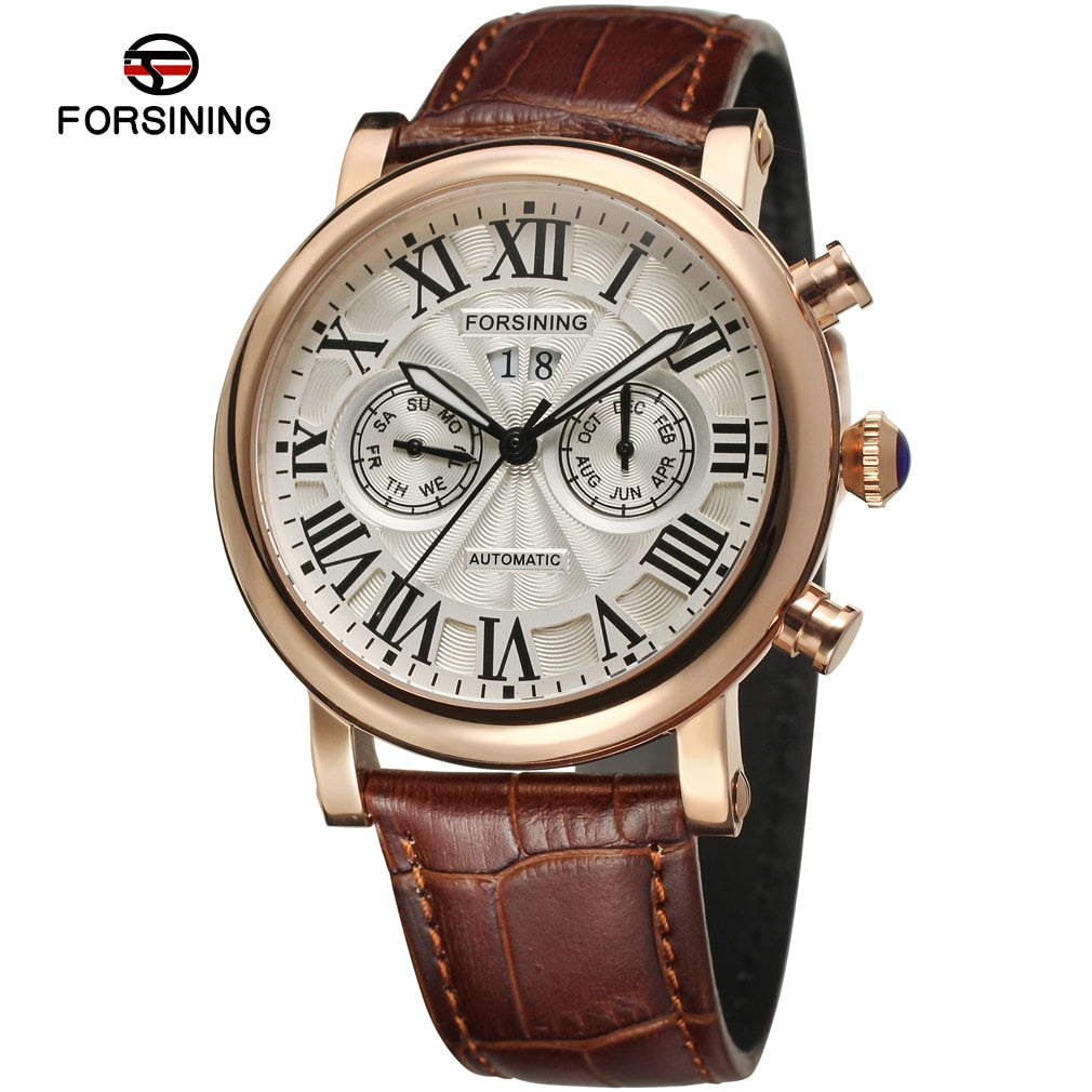 Luxury Design Men's Mechanic Watches Leather Strap Butterfly Clasp Male Clock Auto Date Day Month Calendar Wristwatches for Man